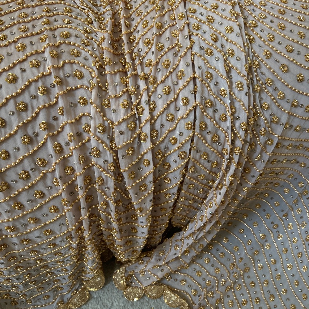 Hand Embroidered Beige Chiffon Saree / Sari with heavy sequence work - Picture 10 of 11